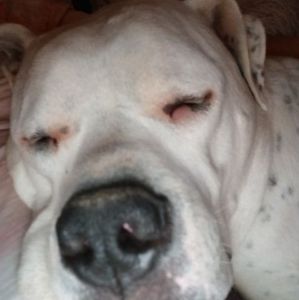 Meet your Posher, Robyn